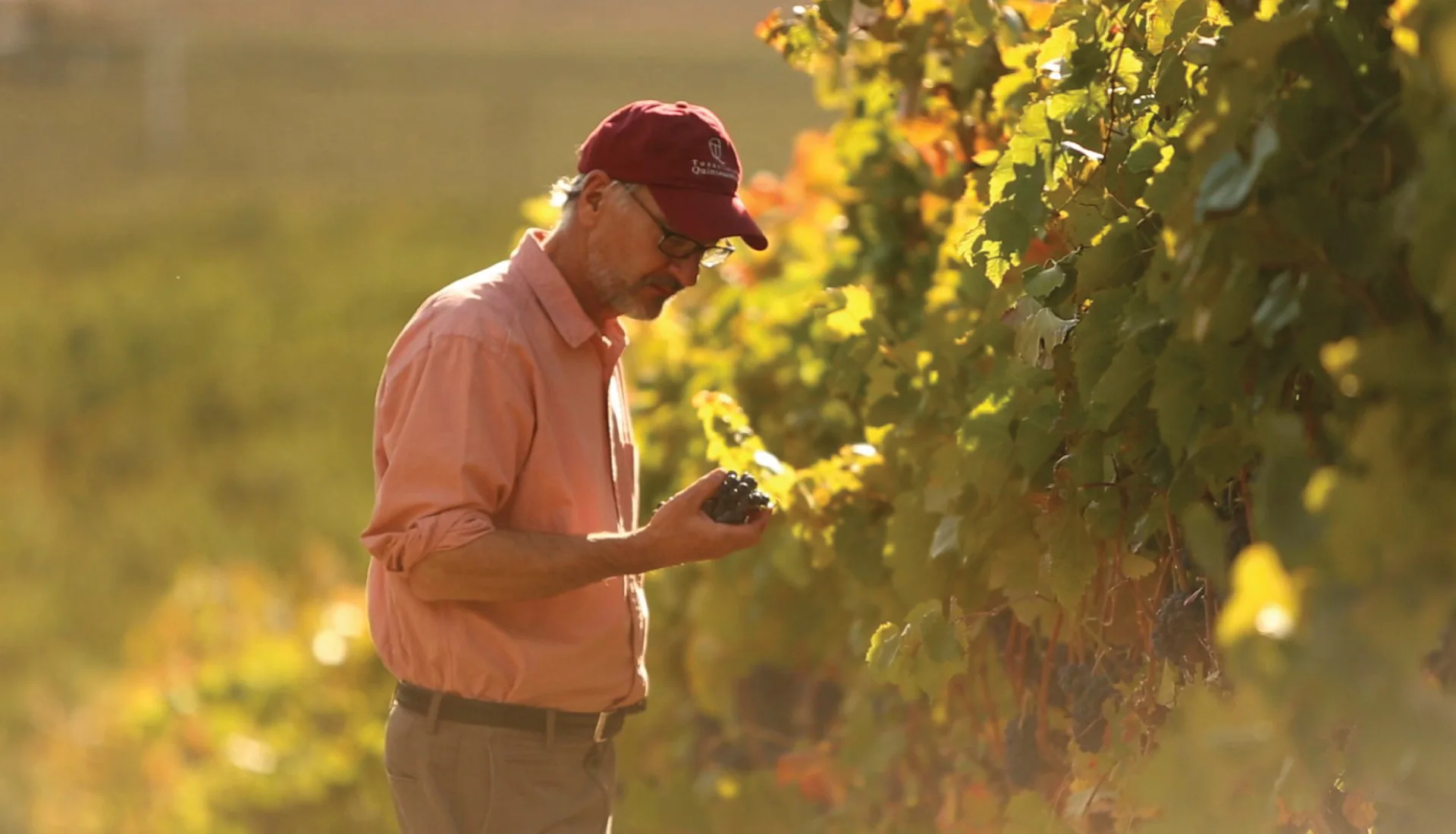 Brian Carter, Winemaker